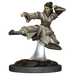 D&D: Icons of the Realms - Human Monk Female - for just $8.99! 
