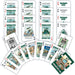 Michigan State Spartans Fan Deck Playing Cards - 54 Card Deck - for just $7.99! 