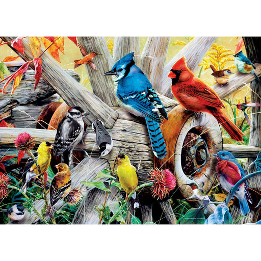 Audubon - Backyard Birds 1000 Piece Jigsaw Puzzle - Just $16.99! Shop now at Retro Gaming of Denver