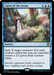 Curse of the Swine (OTC-092) - Outlaws of Thunder Junction Commander - for just $0.12! 