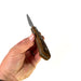 Small Plastic Paring Knife Prop - for just $42! 