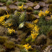 Gamers Grass Tufts: Yellow Flowers- Wild - for just $7.55! 