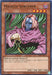 Masked Sorcerer (25th Anniversary) [MRD-EN019] Rare - for just $0.10! 