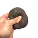 Foam Granite Oval Potato Rock Prop - for just $19! 