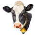 Cow 100 Piece Shaped Jigsaw Puzzle - for just $7.99! 