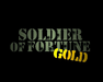 Soldier of Fortune: Gold Edition – PlayStation 2 (PS2) - for just $0! 