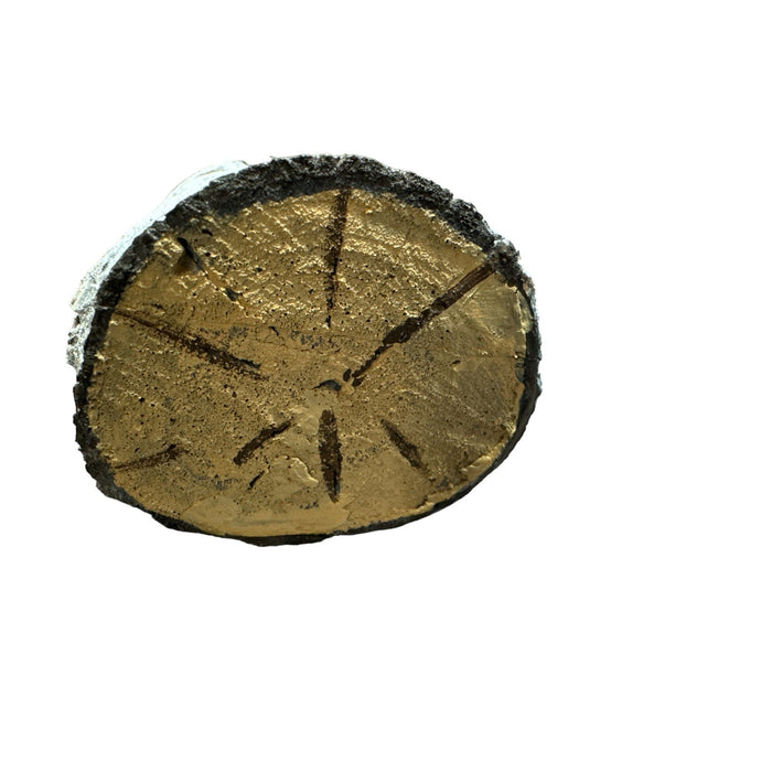 24 Inch Stunt Tree Wood Branch Flexible Foam Prop - for just $75! 
