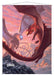 Ultra PRO: Wall Scroll - Dungeons & Dragons Cover Series (Fizban's Treasury of Dragons) - for just $0! 