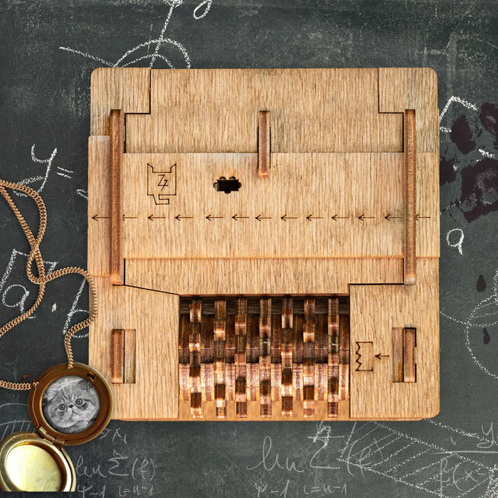Cluebox: Escape Room In a Box - Schrodinger's cat - for just $44! 