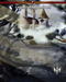 Castles & Crusades: Engineering Castles - for just $12.99! 