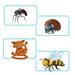 Concept Kids - for just $29.99! 