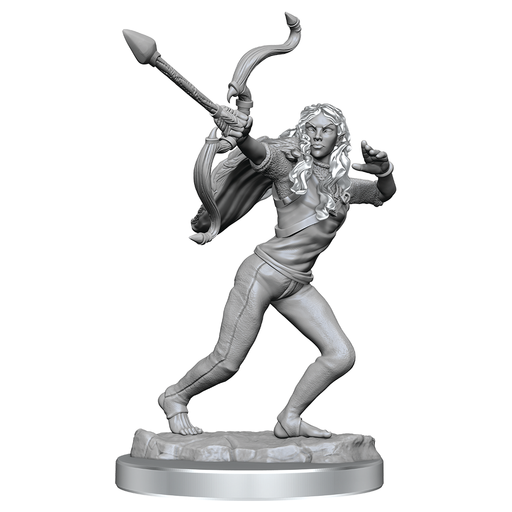 Critical Role: Ashari Stoneguard & Ashari Skydancer - for just $8.99! 