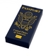 Passport (1x2 Tile) (LEGO) - Premium Custom Printed - Just $1.50! Shop now at Retro Gaming of Denver