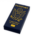 B3 Customs® Passport (1x2 Tile) - Just $1.50! Shop now at Retro Gaming of Denver