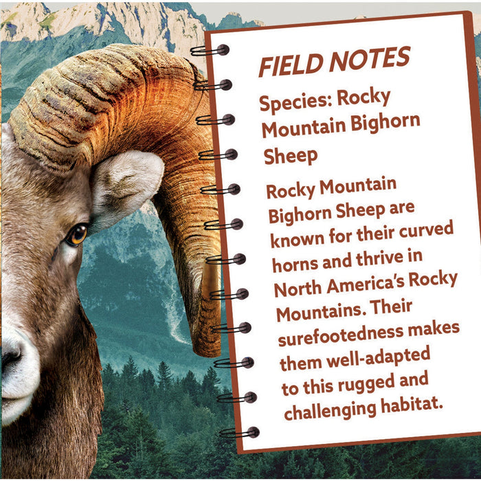 Rocky Mountain Bighorn Sheep 100 Piece Shaped Jigsaw Puzzle - Just $7.99! Shop now at Retro Gaming of Denver