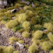 Gamers Grass Tufts: Light Green XL - 12mm - Wild XL - for just $9.99! 
