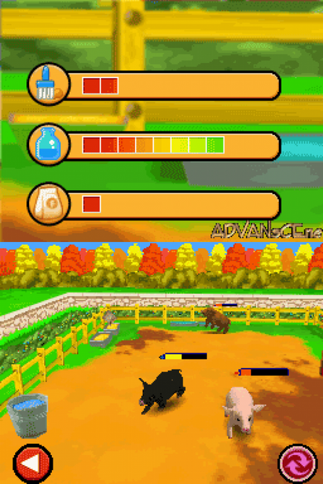 Imagine: Animal Doctor – Nintendo DS (DS) - for just $5.99! 