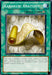 Karakuri Anatomy [STBL-EN048] Common - for just $0.25! 