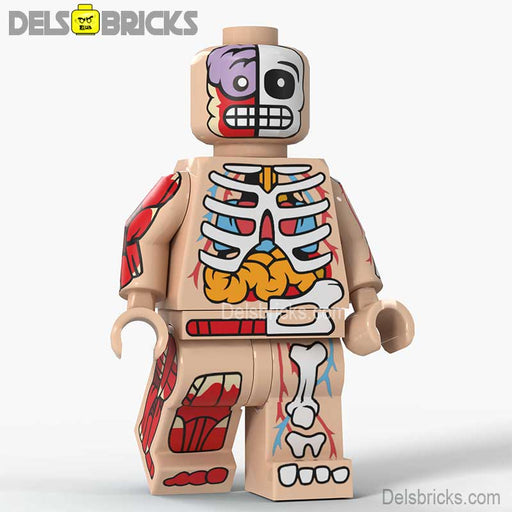 Human Body Guy Visible Anatomy Man Skin Color Lego Minifigures custom toys - Just $4.50! Shop now at Retro Gaming of Denver