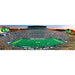 Oregon Ducks - 1000 Piece Panoramic Jigsaw Puzzle - for just $19.99! 