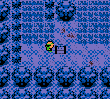 Pokemon Red ++ Version Gameboy Repro Game Cart - for just $24.99! 