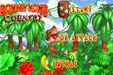 Donkey Kong Country – Game Boy Advance (GBA) - for just $19.99! 