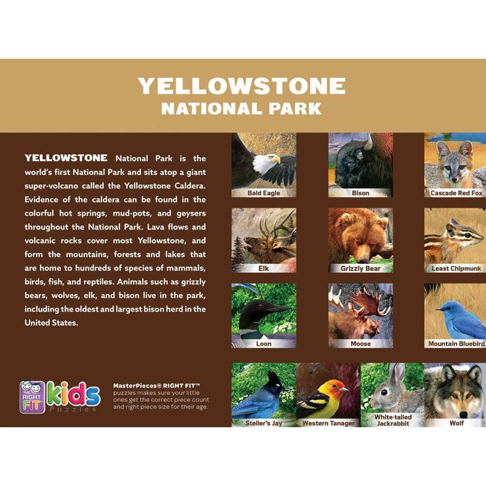 Wildlife of Yellowstone National Park - 100 Piece Jigsaw Puzzle - for just $12.99! 