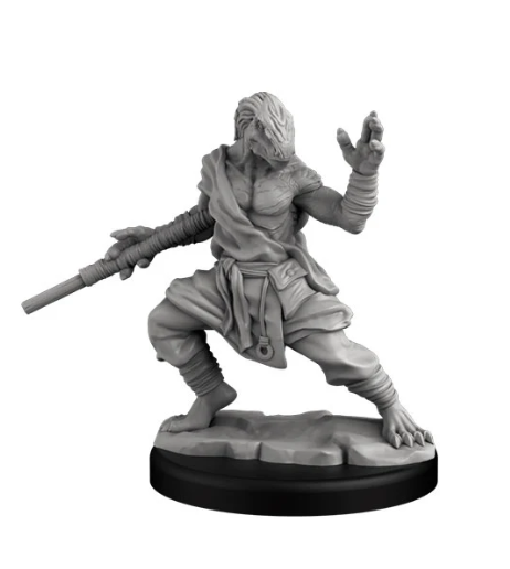 Dragonborn Monk - for just $1.79! 