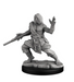 Dragonborn Monk - for just $1.79! 