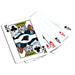 Carolina Panthers 300 Piece Poker Set - for just $124.99! 