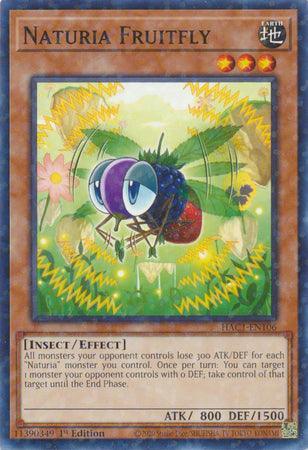 Naturia Fruitfly (Duel Terminal) [HAC1-EN106] Common - for just $0.15! 