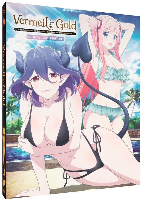 Vermeil In Gold - Limited Edition Steelbook (Blu-ray) - for just $73.99! 