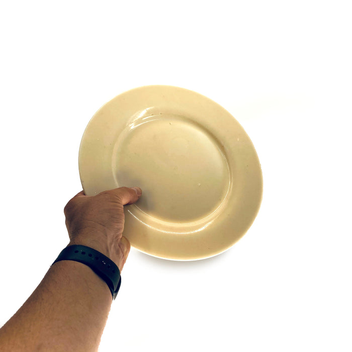 SMASHProps Breakaway Medium Dinner Plate - for just $18! 