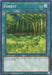 Forest (25th Anniversary) [LOB-EN046] Common - for just $0.15! 