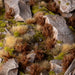 Gamers Grass Tufts: Spikey Brown 12mm- Wild - for just $8.45! 