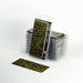 Gamers Grass Laser Plants: Dumb Cane - for just $7.55! 
