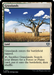Grasslands (CMM-1002) - Commander Masters - for just $0.08! 