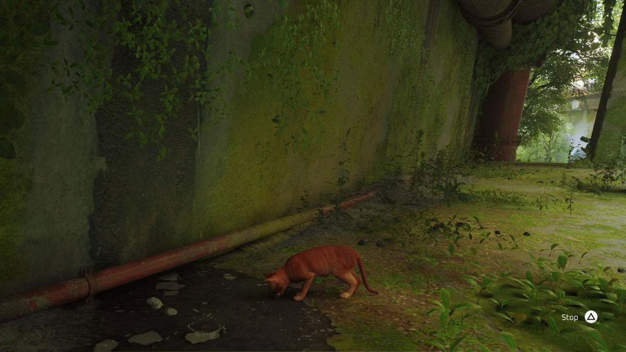 Stray – PlayStation 5 (PS5) - for just $0! 