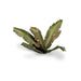 Gamers Grass Laser Plants: Banana Tree - for just $7.55! 