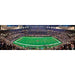 New Orleans Saints - 1000 Piece Panoramic Jigsaw Puzzle - for just $19.99! 