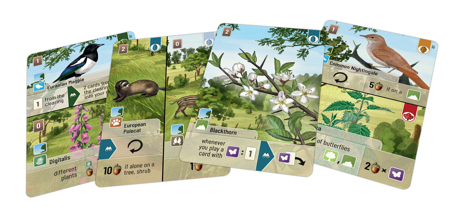 Forest Shuffle: Woodland Edge - for just $12.99! 