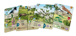 Forest Shuffle: Woodland Edge - for just $12.99! 