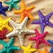 Starfish 100 Piece Jigsaw Puzzle - Just $7.99! Shop now at Retro Gaming of Denver