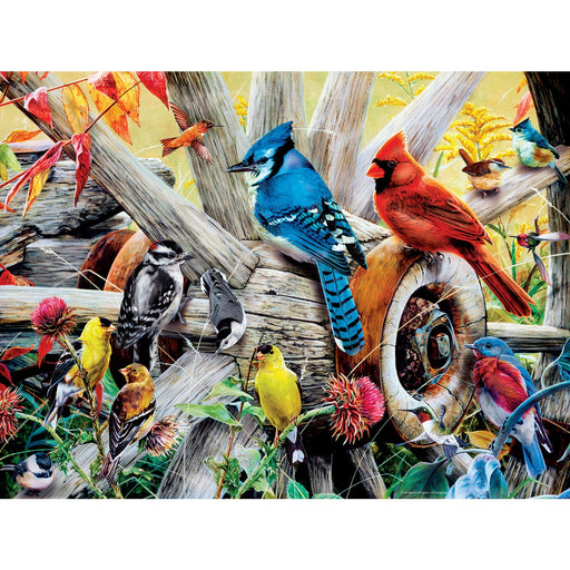 Audubon - Backyard Birds 300 Piece EZ Grip Jigsaw Puzzle - Just $14.99! Shop now at Retro Gaming of Denver