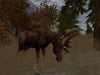 Cabela's Deer Hunt 2004 – PlayStation 2 (PS2) - for just $5.99! 