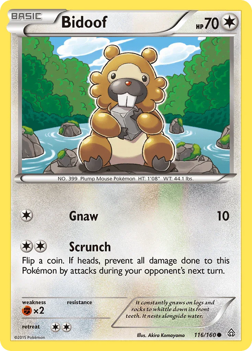 Bidoof (116/160) [XY: Primal Clash] - for just $0.15! 
