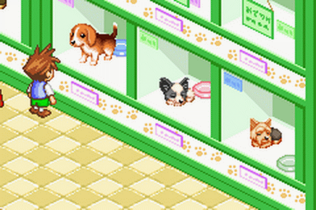 Dogz  – Game Boy Advance (GBA) - for just $4.99! 