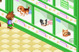 Dogz  – Game Boy Advance (GBA) - for just $4.99! 