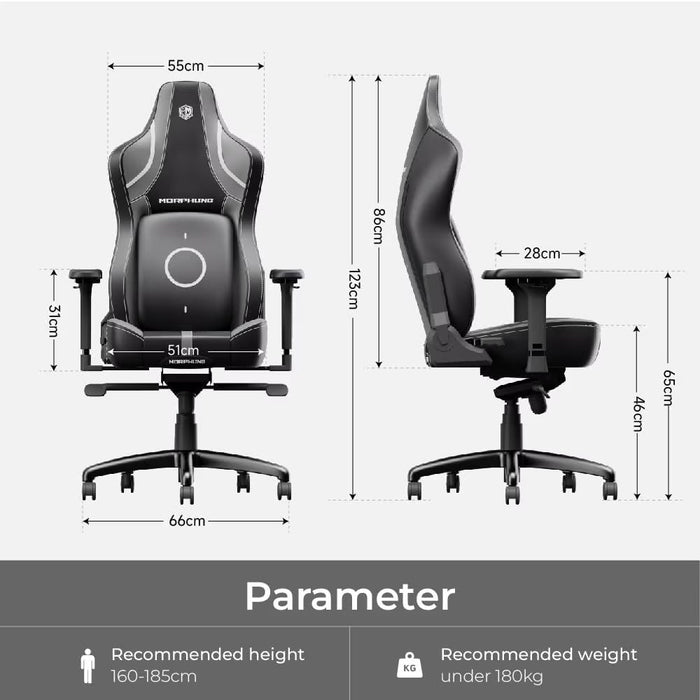C-L42R Gaming Chair - for just $969.52! 