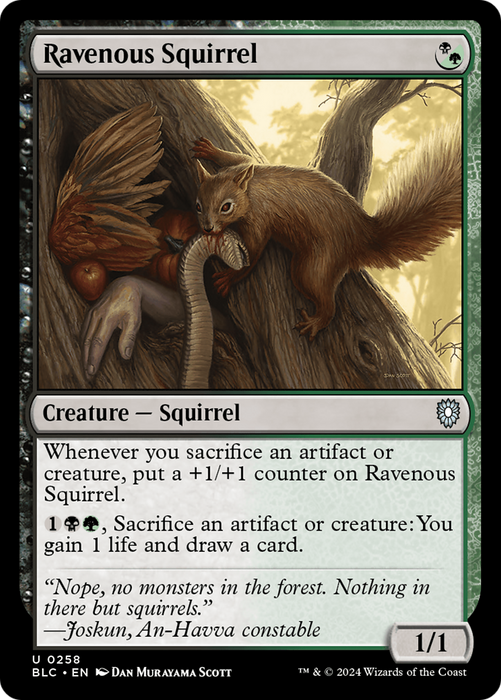Ravenous Squirrel (BLC-258) - Bloomburrow Commander - for just $0.08! 